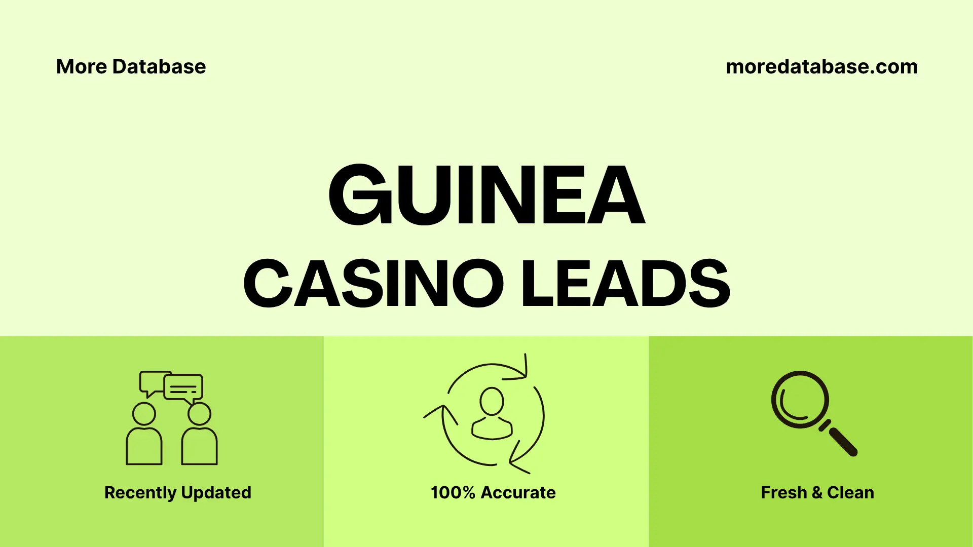 Guinea Casino Leads